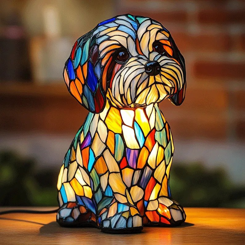Sweetness of Shih Tzu