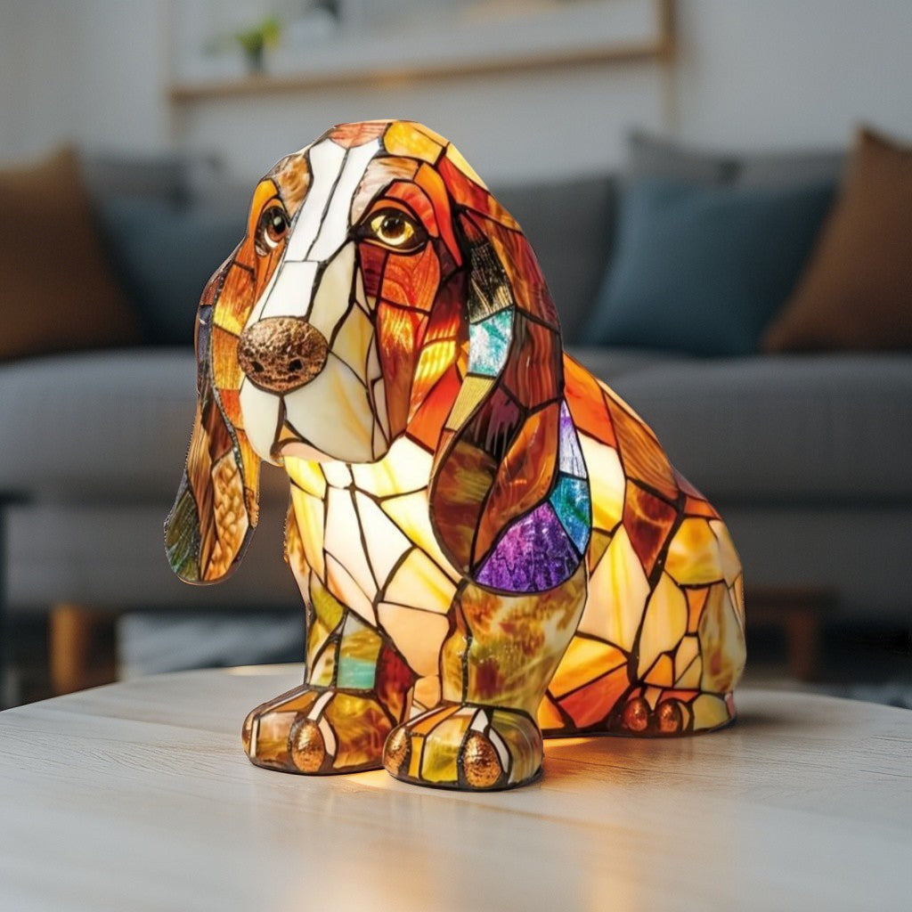 Lovable Basset Hound